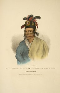 Nah-shaw-a-gaa o Il Figlio dei Cani Bianchi da James Otto Lewis